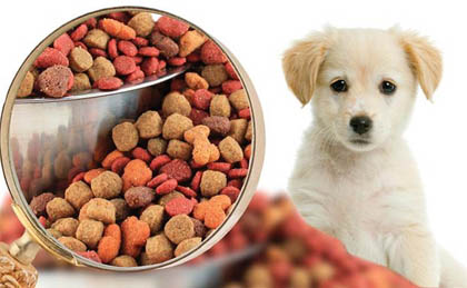 How Is Pet Food Manufactured?