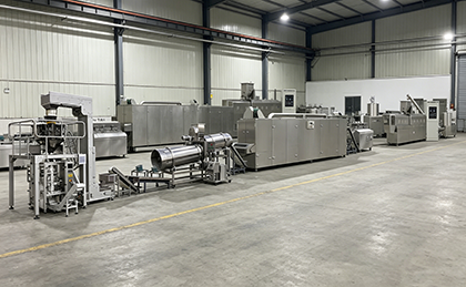 Corn Puffed Snacks Production Line Pre-shipment Full-load Trial Run